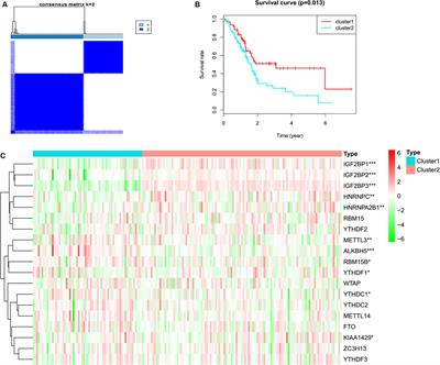 Gene Signature and Identification of Clinical Trait-Related m6 A Regulators in Pancreatic Cancer